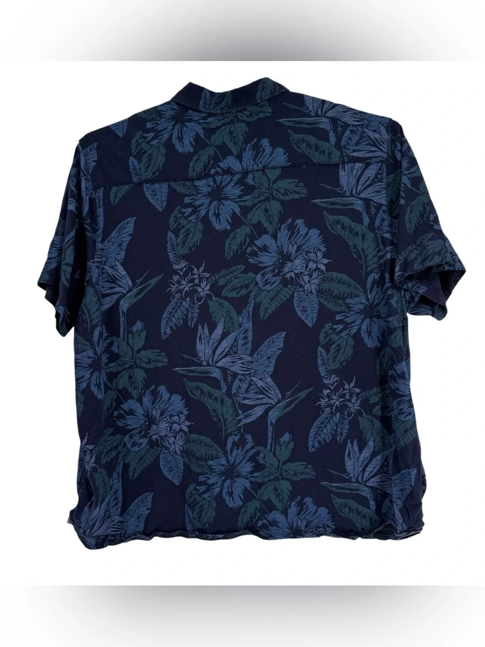 Tommy Bahama tommy bahama